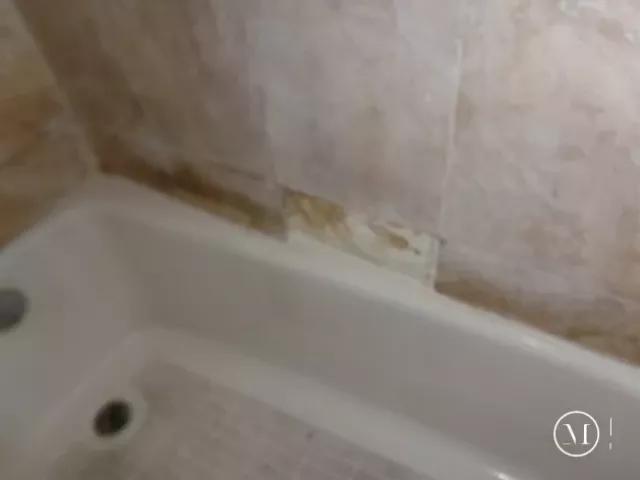 1-bedroom condo for rent in Miami Beach - 5601 Collins Ave 1204 - MondialRealty