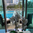 The Plaza on Brickell - Condo - Miami