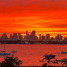 Flamingo South Beach - Condo - Miami Beach