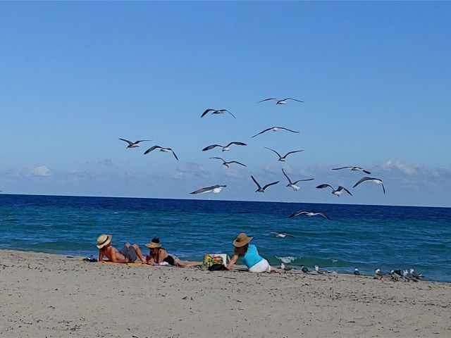 Apartment for sale  Unit #S407 - photo 5679285