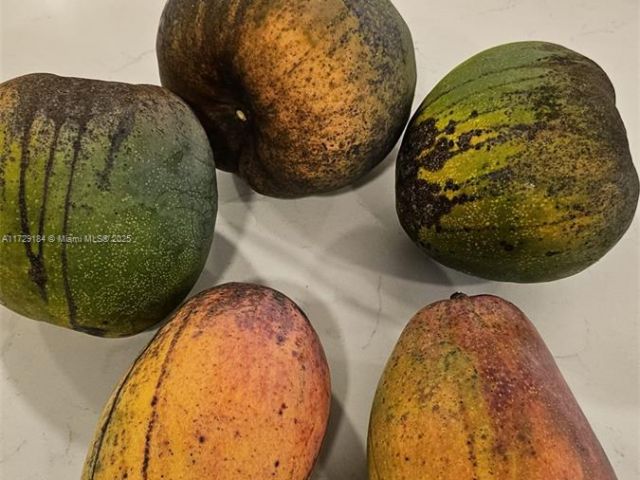 Home for sale at 16400 SW 173rd Ave - photo 6239182