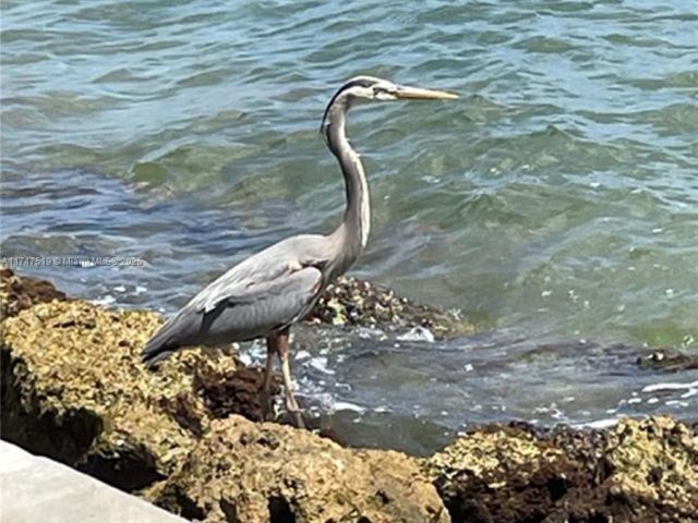 Apartment for sale  Unit #1600 - photo 5623366