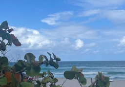 Apartment #505 at 2080 Hallandale