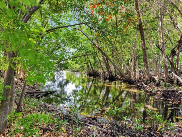 Home for sale at 2017 N Dixie Hwy - photo 5995801