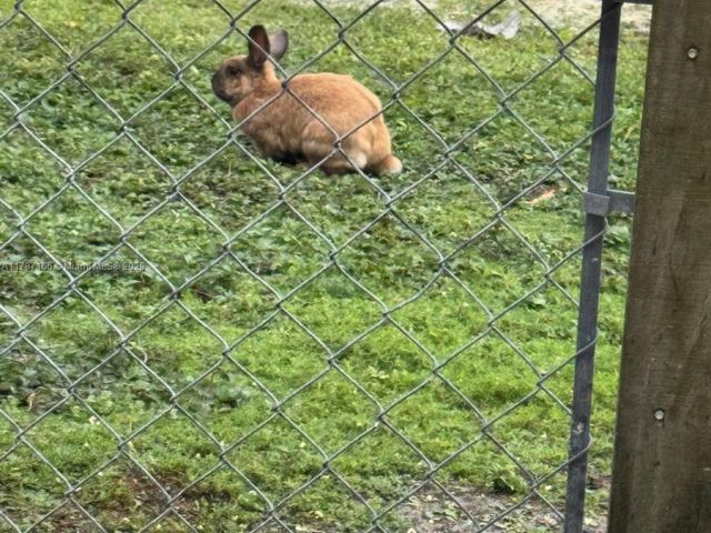 Home for sale at 12355 NW 7th Ln - photo 5886412