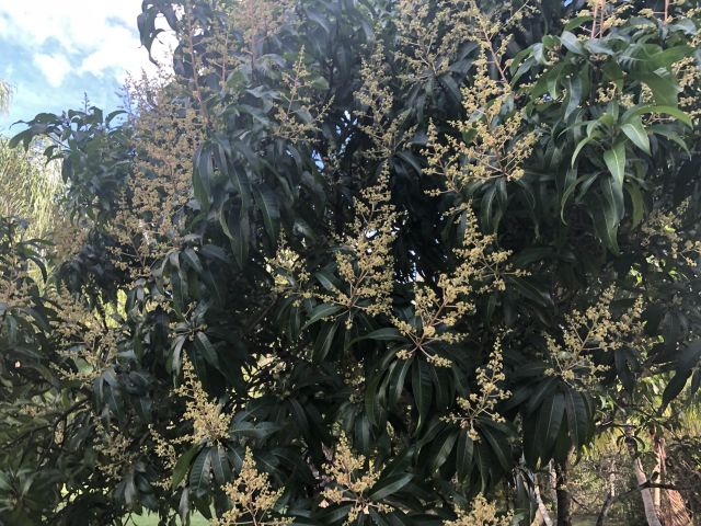 Home for rent at 12136 88th Place N - photo 5983668