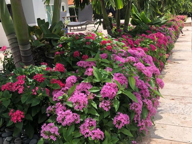 Home for sale at 3040 NE 46th St - photo 6051183