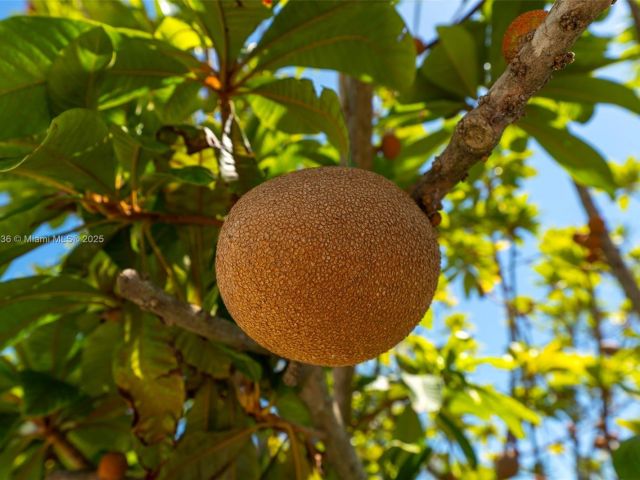 Home for sale at 30701 SW 156th Ave - photo 6041585