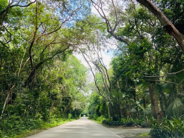 Home for rent at 22990 SW 156th Ave 0 - photo 6062294