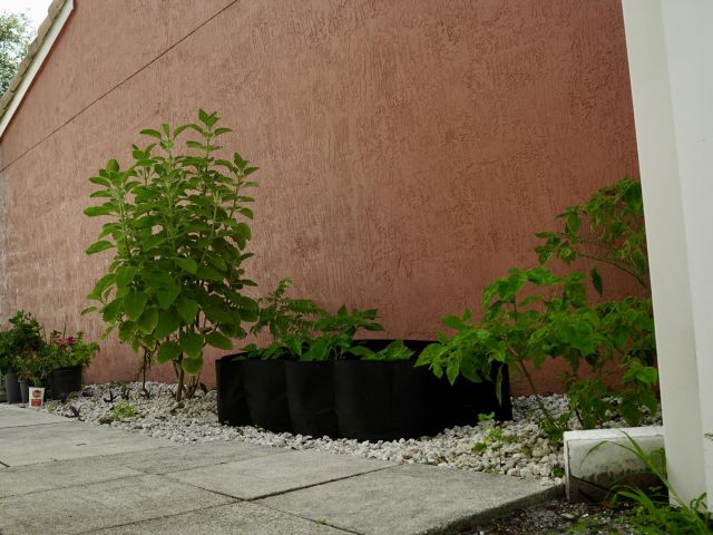 Home for rent at 3290 Turtle Cove - photo 6116227