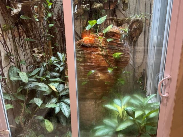 Home for rent at 683 Pelican Way - photo 6144040