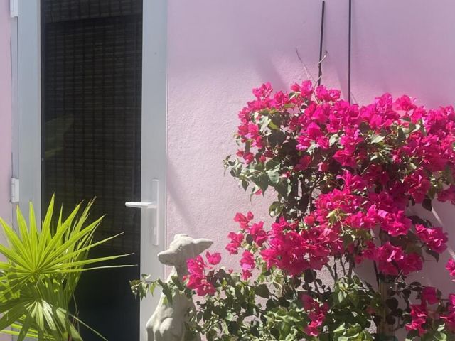 Home for rent at 341 Murray Road - photo 6176000