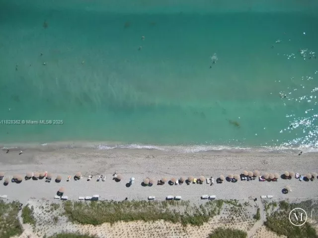 1-bedroom condo for rent in Hallandale Beach -  - MondialRealty