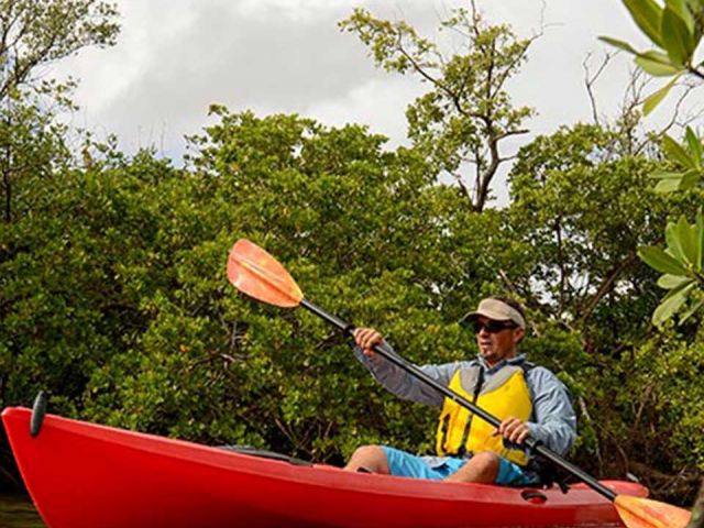 Home for rent at 245 Arlington Road - photo 6444838