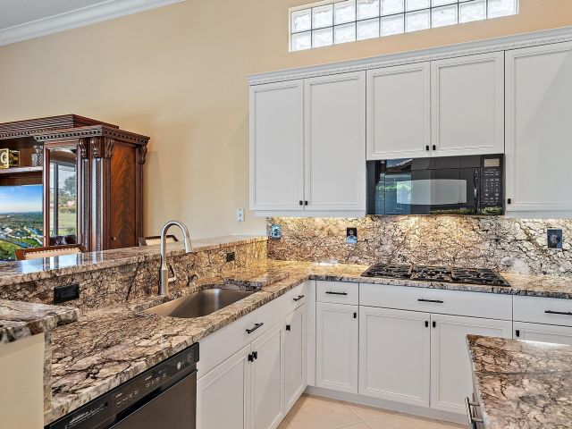 Home for sale at 10445 Terra Lago Drive - photo 6448495