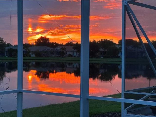 Home for sale at 9271 Heron Cove Drive - photo 6506425