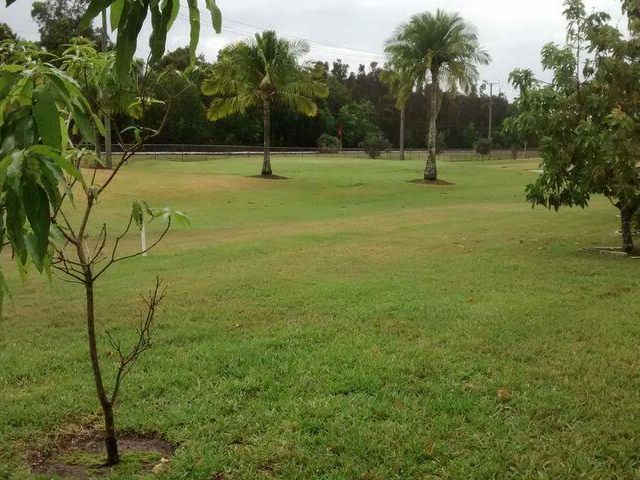 Home for rent at 3505 Amalfi Drive - photo 6534314