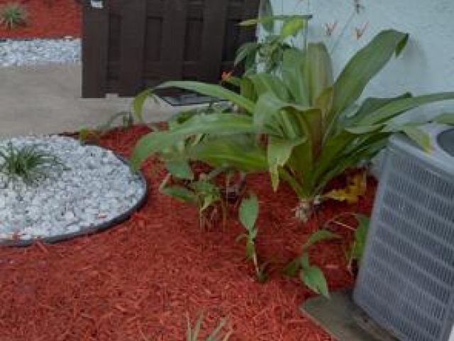 Home for rent at 22342 Pineapple Walk Drive - photo 6871188