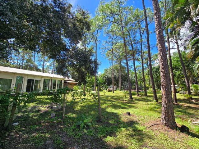 Home for sale at 13835 41st Lane N - photo 6627310