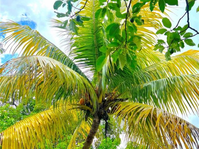 Home for rent at 140 NW 124th St 0 - photo 7494803