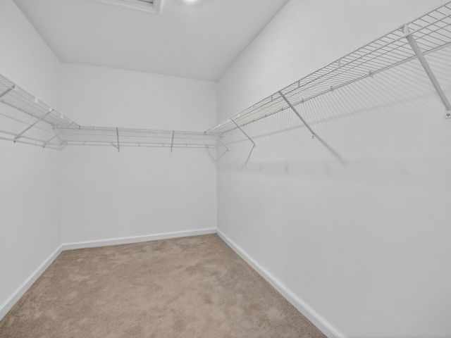 Home for rent at 4320 Buttonwood Drive - photo 6594768