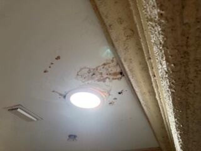 Home for sale at 4793 Badger Avenue - photo 6591823