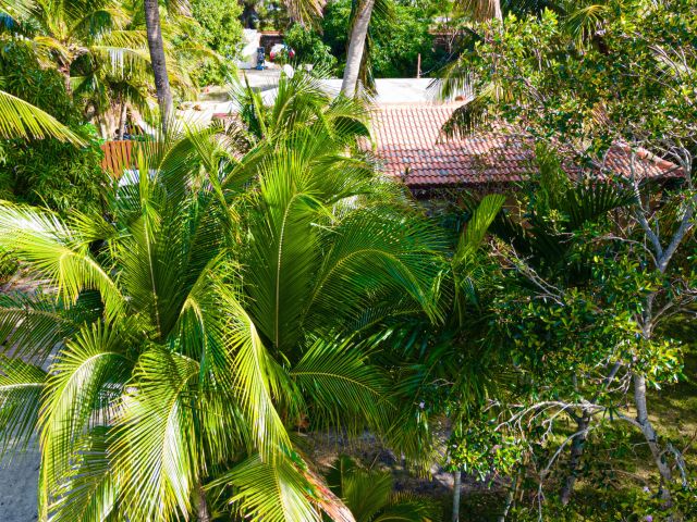 Home for sale at 1501 NE 3rd Avenue - photo 6639181