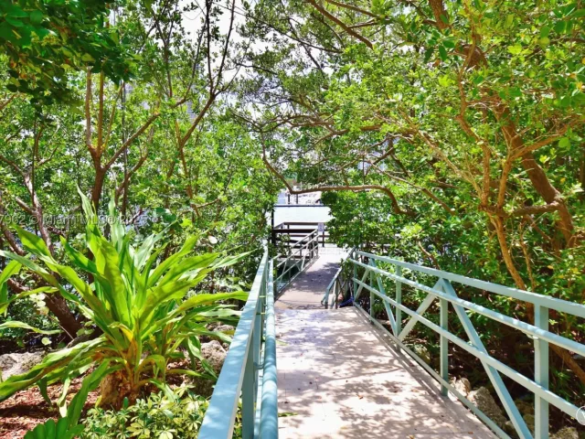 1-bedroom condo for rent in Aventura -  - MondialRealty