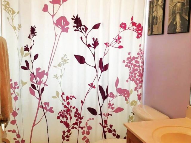 Home for rent at 3298 Turtle Cove - photo 6737236