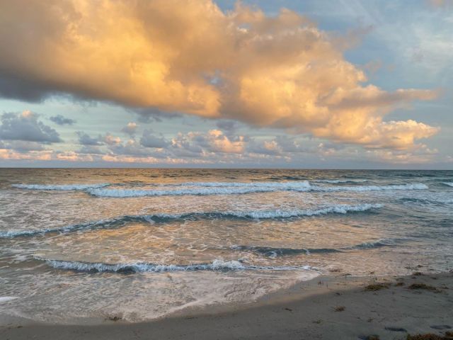 Home for rent at 1300 SW 13th Street - photo 6809325