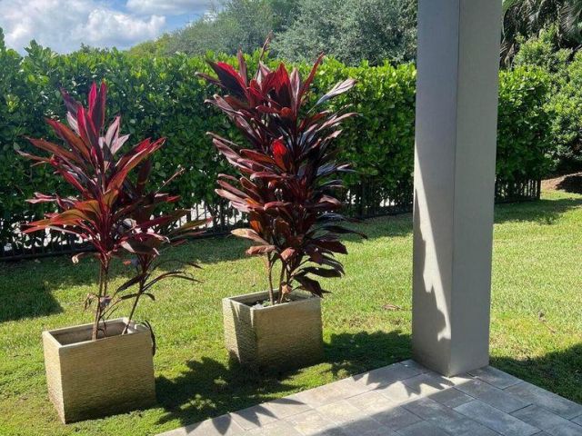 Home for rent at 17534 Rainstream Road - photo 6814280