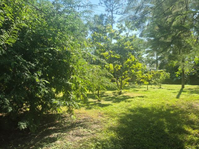 Home for sale at 13706 44th Place N - photo 6853092