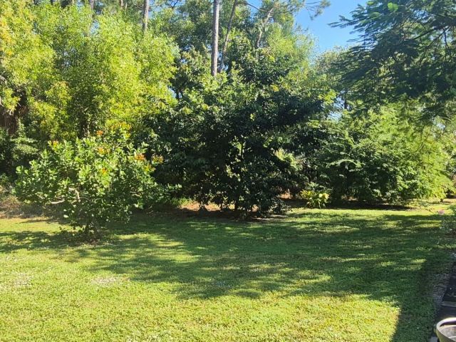 Home for sale at 13706 44th Place N - photo 6853094