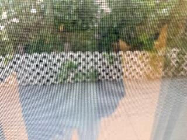 Home for rent at 7473 Champagne Place - photo 6830163