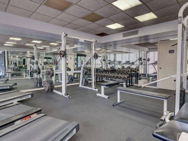 Apartment for rent  Unit #606 - photo 6853927