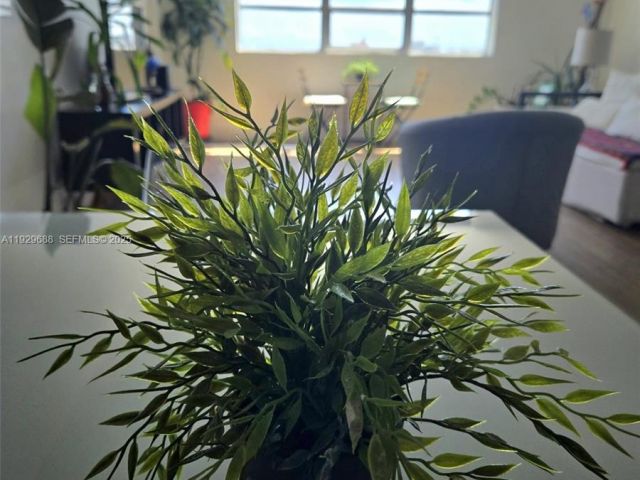 1-bedroom condo for rent in Miami Beach - 1500 Bay Rd 1178S - MondialRealty