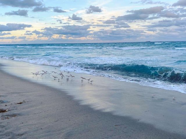 Home for sale at 1260 SW 8th Street SW - photo 6932950