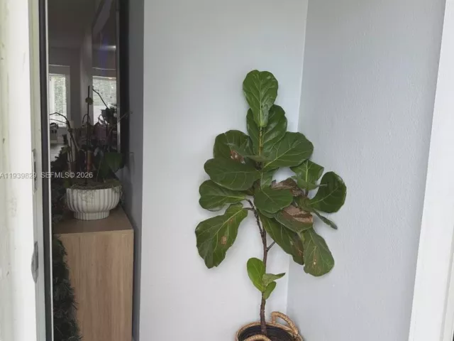 3-bedroom home for sale in Cooper City - 5280 SW 92nd Ter - MondialRealty