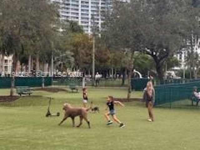 Apartment for sale  Unit #1714 - photo 7093431