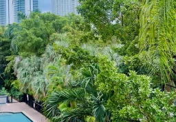 Apartment #3311 at Porto Bellagio