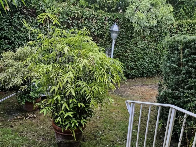 2-bedroom home for sale in Coral Gables - 345 Malaga Ave - MondialRealty