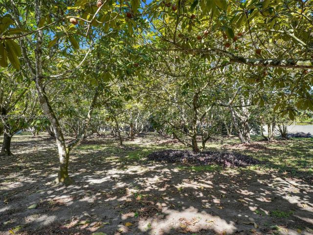 Home for sale at 19955 SW 186th St - photo 7440174