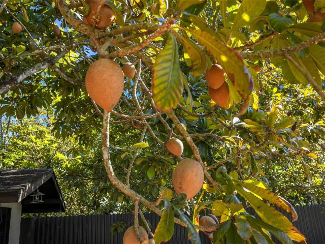 Home for sale at 19955 SW 186th St - photo 7440175