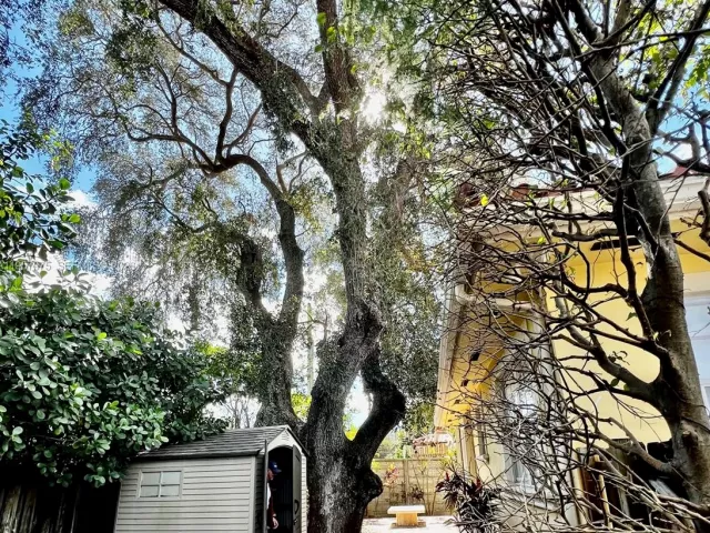 3-bedroom home for sale in Miami - 2301 SW 22nd Ave - MondialRealty