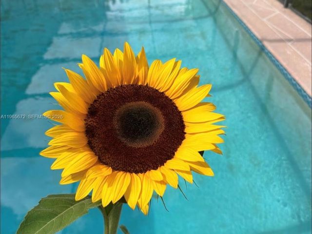 Home for rent at 30255 SW 197th Ave 0 - photo 7459248