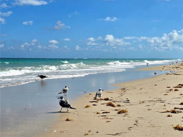 Apartment for rent  Unit #208 - photo 7507915