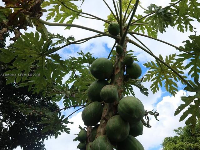 Home for rent at 27684 SW 163rd Ct 0 - photo 7459385