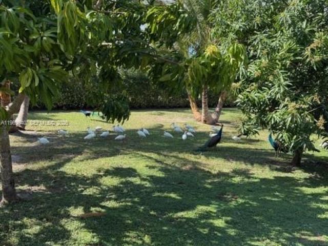 Home for sale at 14721 SW 67th Ave - photo 7470780