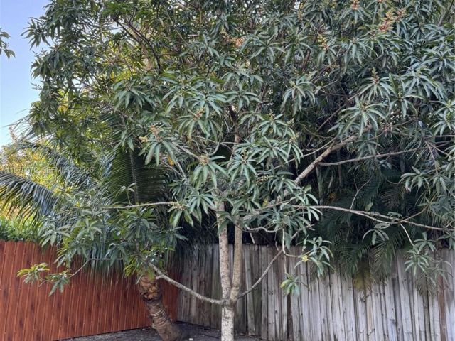 Home for rent at 470 NE 127th St - photo 7475658