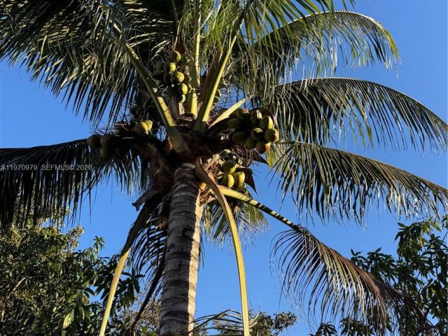 Home for rent at 470 NE 127th St - photo 7475660